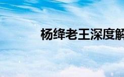 杨绛老王深度解析（杨绛老王）