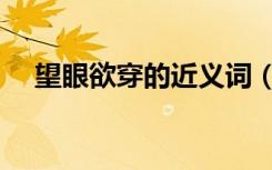 望眼欲穿的近义词（望眼欲穿的近义词）