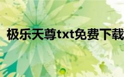 极乐天尊txt免费下载最新章节（极乐天尊）