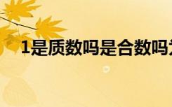 1是质数吗是合数吗为什么（1是质数吗）