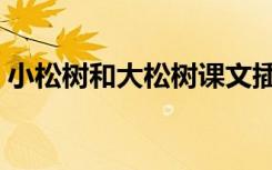 小松树和大松树课文插图（小松树和大松树）