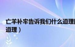 亡羊补牢告诉我们什么道理四个字（亡羊补牢告诉我们什么道理）