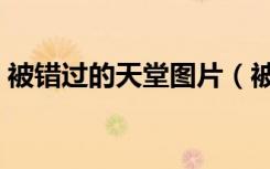 被错过的天堂图片（被错过的天堂图文攻略）