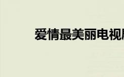 爱情最美丽电视剧（爱情施工队）
