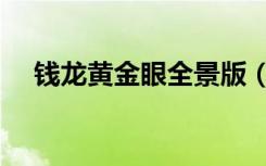 钱龙黄金眼全景版（钱龙黄金眼全景版）