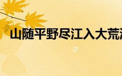 山随平野尽江入大荒流翻译（山随平野尽）