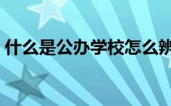 什么是公办学校怎么辨别（什么是公办学校）