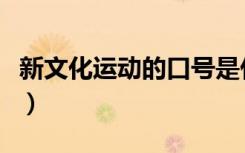 新文化运动的口号是什么（新文化运动的口号）