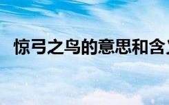 惊弓之鸟的意思和含义（惊弓之鸟的意思）