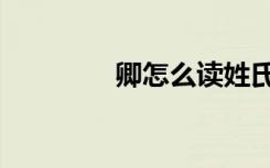 卿怎么读姓氏（卿怎么读）