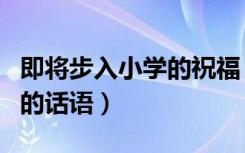 即将步入小学的祝福（宝贝即将步入小学祝福的话语）