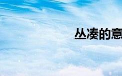丛凑的意思是什么