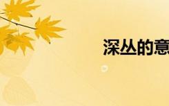 深丛的意思是什么