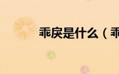 乖戾是什么（乖戾是什么意思）