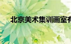 北京美术集训画室有哪些 如何选择画室