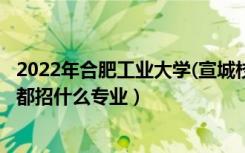 2022年合肥工业大学(宣城校区)招生计划及招生人数（各省都招什么专业）