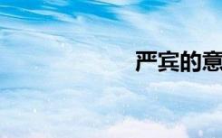 严宾的意思是什么
