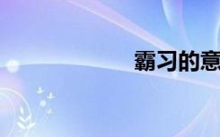 霸习的意思是什么