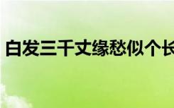 白发三千丈缘愁似个长的意思（白发三千丈）