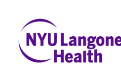 焦虑专家和数字健康专家加入纽约大学朗格健康中心的精神病学系