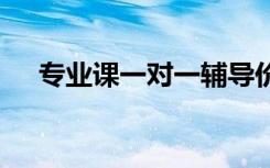 专业课一对一辅导价格 收费大概是多少