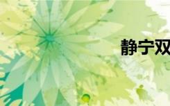 静宁双语例句