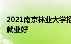 2021南京林业大学招生有哪些专业 什么专业就业好
