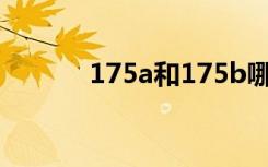 175a和175b哪个大（175au）