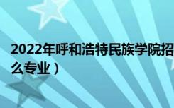 2022年呼和浩特民族学院招生计划及招生人数（各省都招什么专业）