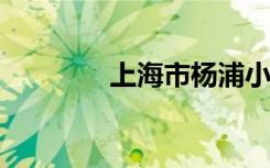 上海市杨浦小学的地址在哪