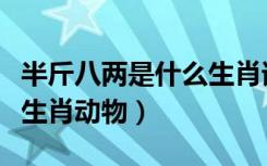 半斤八两是什么生肖请解释（半斤八两是什么生肖动物）