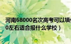 河南68000名次高考可以填什么学校（河南高考位次100000左右适合报什么学校）