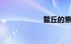鳌丘的意思是什么