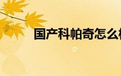 国产科帕奇怎么样（国产科帕奇）