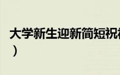 大学新生迎新简短祝福语（激励大学新生的话）