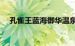 孔雀王蓝海御华温泉酒店（孔雀王家具）