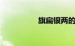 旗扁银两的意思是什么