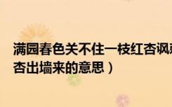满园春色关不住一枝红杏讽刺什么（满园春色关不住一枝红杏出墙来的意思）