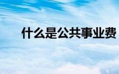 什么是公共事业费（什么是公共产品）