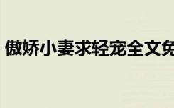 傲娇小妻求轻宠全文免费阅读（傲娇小亲亲）