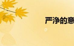 严浄的意思是什么