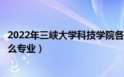 2022年三峡大学科技学院各省招生计划及招生人数（都招什么专业）