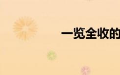 一览全收的意思是什么