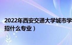 2022年西安交通大学城市学院招生计划及招生人数（各省都招什么专业）