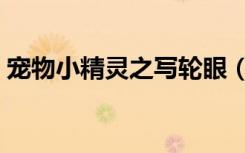 宠物小精灵之写轮眼（宠物小精灵之旅行者）
