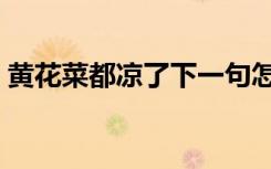 黄花菜都凉了下一句怎么接（黄花菜都凉了）