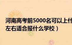 河南高考前5000名可以上什么学校（河南高考位次200000左右适合报什么学校）