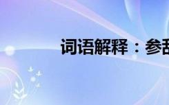 词语解释：参乱的意思是什么