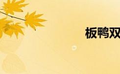 板鸭双语例句