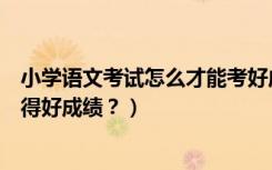 小学语文考试怎么才能考好成绩（小学语文科目怎样才能取得好成绩？）